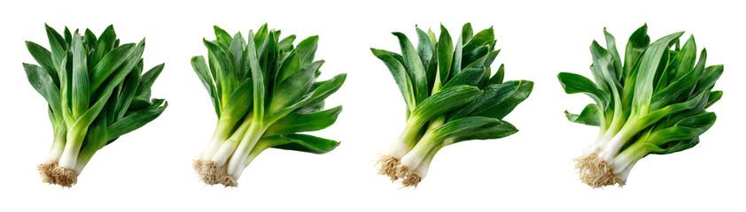 Obraz premium Fresh Green Garlic Scapes with Roots Isolated on Black, High-Key Lighting, Studio Shot PNG set with transparent background