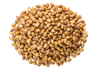 A pile of small light brown fenugreek seeds forming a circular pattern isolated on transparent background