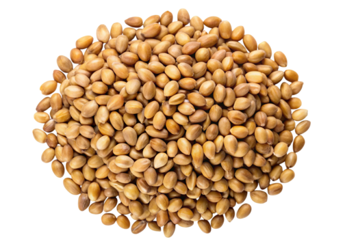 A pile of small light brown fenugreek seeds forming a circular pattern isolated on transparent background