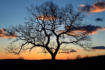 Sunset in the desert