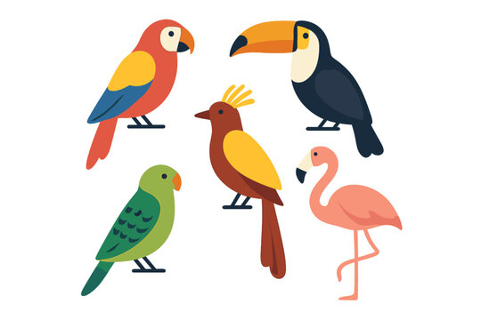 Colorful tropical birds collection featuring parrot, toucan, and flamingo