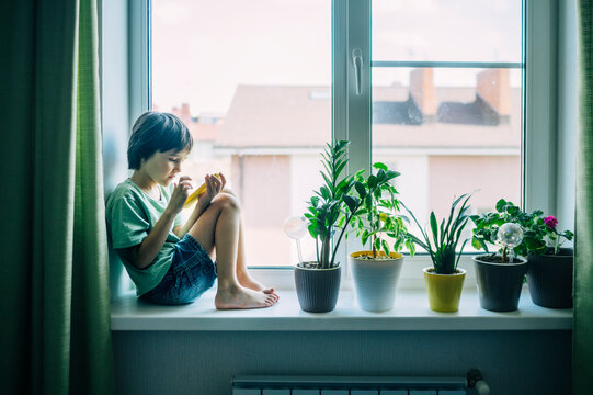 Boy sitting on windowsill using gadget surrounded by houseplants