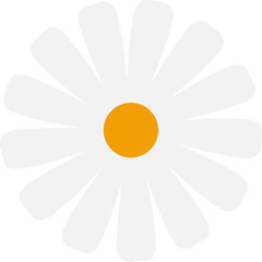 White daisy flower vector illustration
