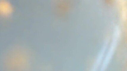 Floating blue and gold glitter spheres celebrating special moments