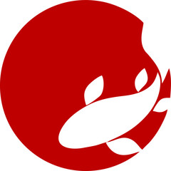 Red Circle White Koi Fish