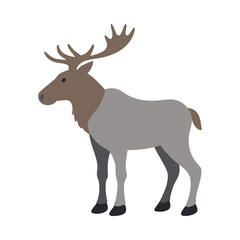 Fototapeta premium deer silhouette vector illustration