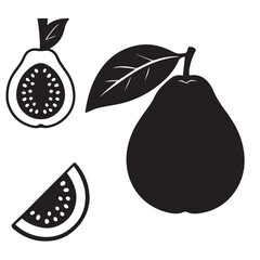 Guava Fruit Silhouette Vector Illustration Isolated on White Background