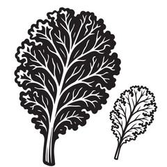 Mustard Greens Silhouette Vector Illustration Isolated on White Background