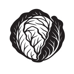 Cabbage Silhouette Vector Illustration Isolated on White Background
