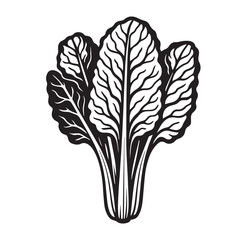 Cabbage Leaf Silhouette Vector Illustration Isolated on White Background