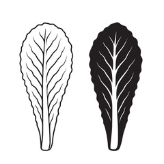 Cabbage Leaf Silhouette Vector Illustration Isolated on White Background