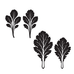 Cabbage Leaf Silhouette Vector Illustration Isolated on White Background