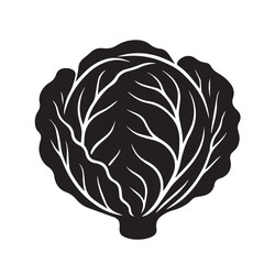 Cabbage Silhouette Vector Illustration Isolated on White Background