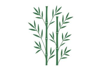 Fototapeta premium Minimalist green bamboo shoots and foliage isolated on white background