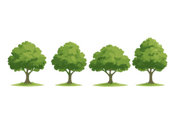 Fototapeta premium Four lush green deciduous trees standing in a row isolated on a clean white background