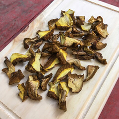 Gourmet dried wild Suillus Luteus mushrooms slices on a wooden cutting board. Ingredient, food, mycology, ecology, eco, organic, bio, healthy, vegetarian, vegan, natural, sustainable, nutrition