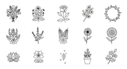 Variety of botanical line art sketches for design and decoration projects showcasing plant diversity