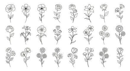 Elegant botanical illustration featuring a diverse collection of floral designs and line art in