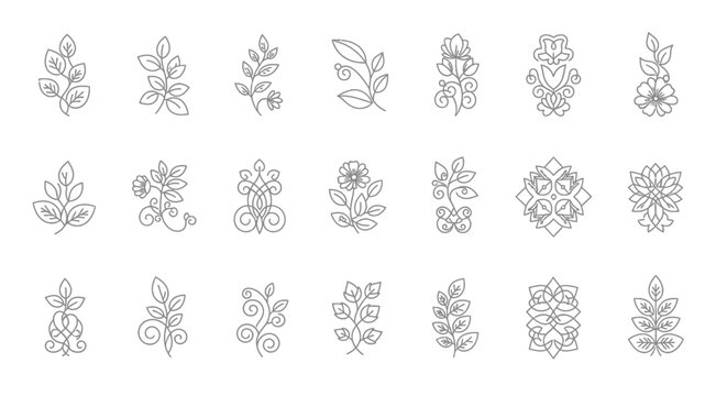 Delicate floral and botanical line art design elements for elegant decorations and layouts