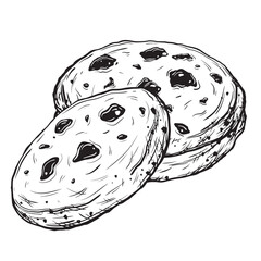 Sketch of Chocolate chip cookies. Hand-drawn ink vector illustration of a oatmeal cookies, with linear graphic elements for food design, isolated on white background.