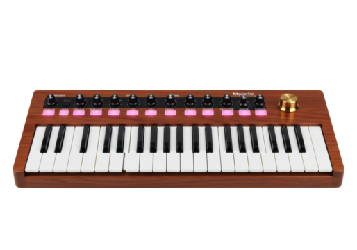 Isolated keyboard synthesizer for music creation, wood frame, studio equipment for sound production