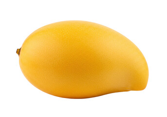 Isolated ripe yellow mango fruit, tropical and healthy food, vitamin nutrition boost