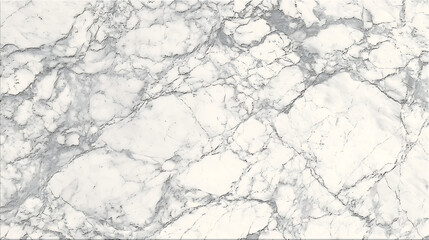 White marble surface with intricate grey veining natural stone