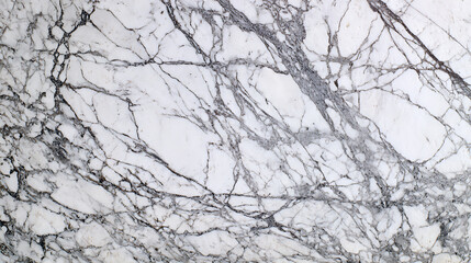 Fototapeta premium White marble surface with intricate grey veining stone texture
