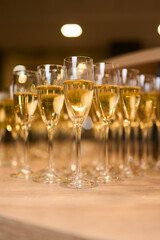 Close-up of many champagne glasses filled with sparkling wine arranged in neat rows on a wooden table. Elegant and festive atmosphere, symbolizing celebration, luxury, and special occasions