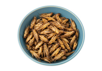 Isolated bowl of crispy fried crickets, a popular edible insect snack in some countries