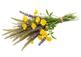 Isolated pretty bunch of buttercup flowers with lavender and decorative grass tied with twine