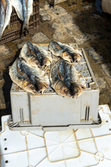Dried Fish Arranged on Plastic Crate Outdoors