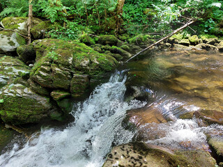 water of stream Lobnica with big stones. Pohorje mountain. Green forest in Slovenia.