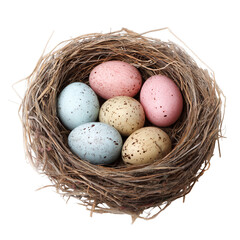 Obraz premium Bird nest with colorful pastel eggs isolated on transparent background, symbol of new life, Easter, and spring season, natural and decorative concept