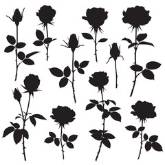Collection of black rose silhouettes with buds and leaves on white background flower