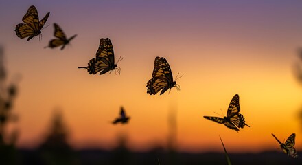 Butterflies gracefully flying against a vibrant sunset sky.