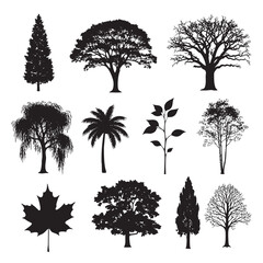 Fototapeta premium Collection of black tree silhouettes and maple leaf on white background vector