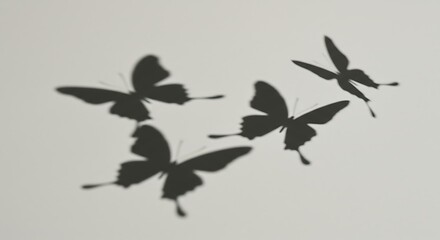 Butterfly Shadows Dancing on a Light Background.