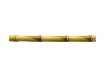 Single segment of bamboo stalk isolated on transparent background