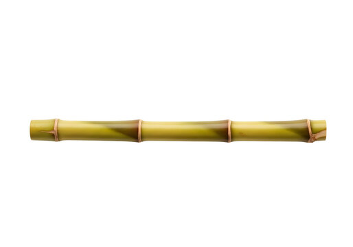 Single segment of bamboo stalk isolated on transparent background