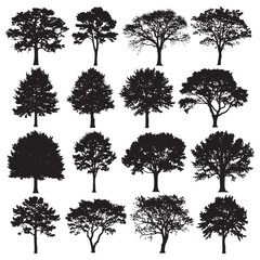 Collection of sixteen black tree silhouettes with detailed branches and foliage on a white background