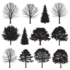 Obraz premium Collection of twelve black tree silhouettes on a white background including deciduous and coniferous varieties