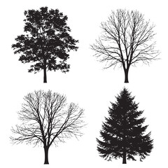 Obraz premium Four black silhouette trees including a deciduous tree with leaves a bare branched tree and a pine tree