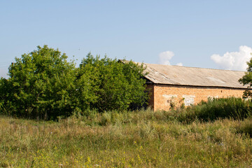 overgrown rural area with red brick building and trees