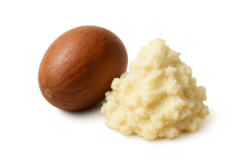 Shea butter and shea nut, illustrating natural beauty ingredient, plant-based cosmetic, and skincare raw material on transparent background