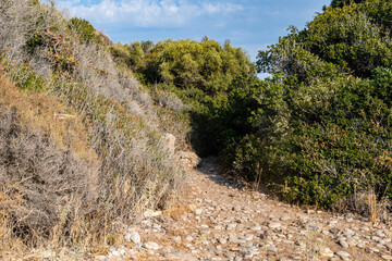 A remote pebble path winds through dry Mediterranean shrubs on a quiet, sun-drenched day