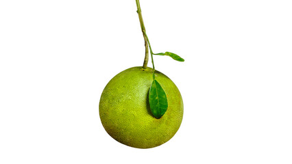 Pomelo fruit with stem and leaves separated on white background. 