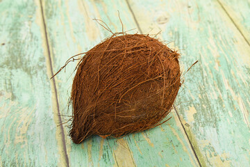 Tropical exotic brown haired coconut