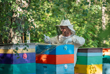 Beekeeper opening a hive with a hive tool for inspection. Male beekeeper in protective suit lifts plastic cover of hive with spatula, preparing to inspect frames in apiary with colorful hives