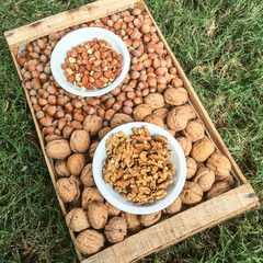 Overhead view of shelled and unshelled hazelnuts and walnuts in a rustic wooden crate. Mix for healthy snacking. Corylus avellana, Juglans regia, ecology, organic, bio, vegetarian, vegan, natural